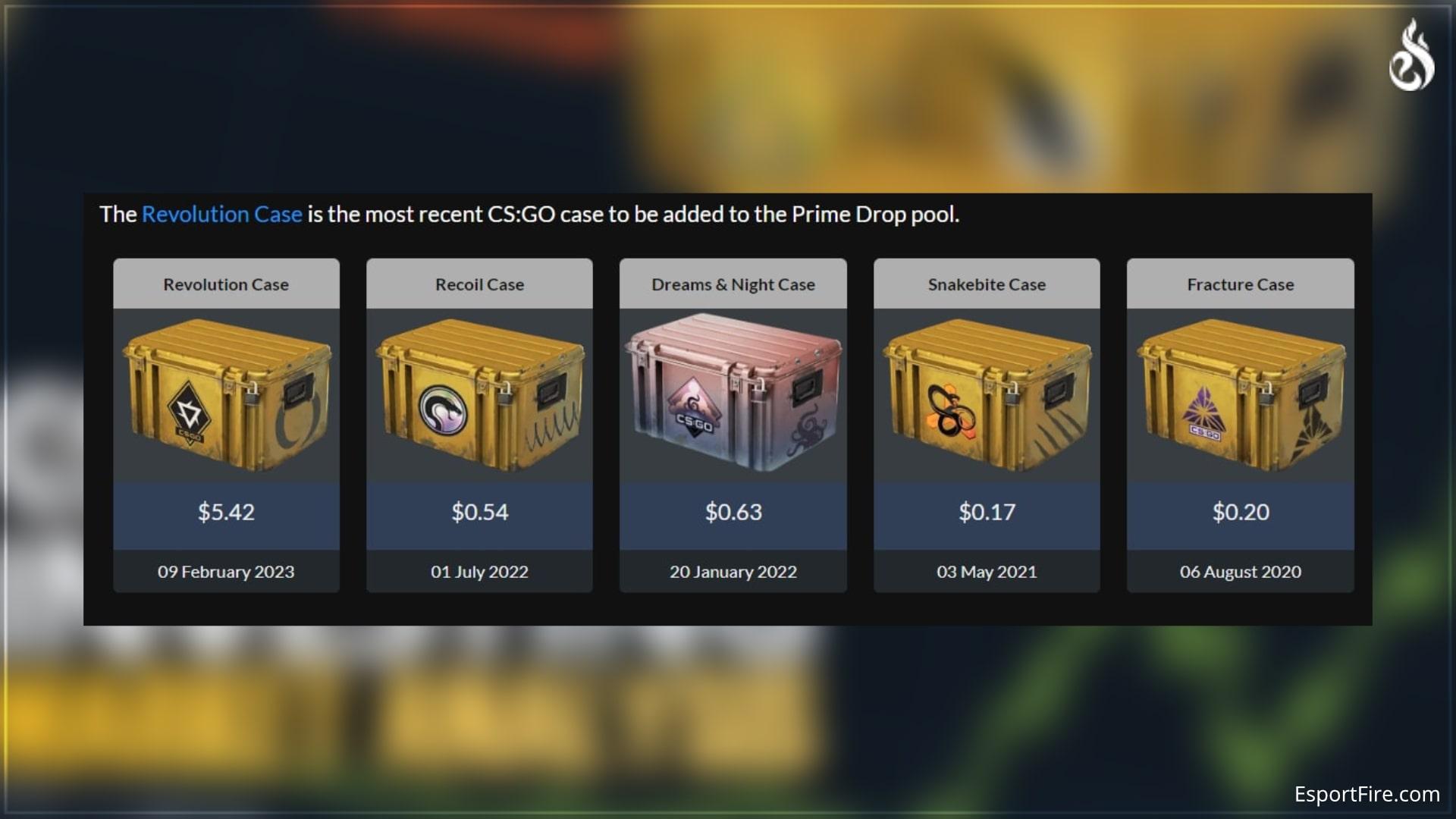 csgo best case investment