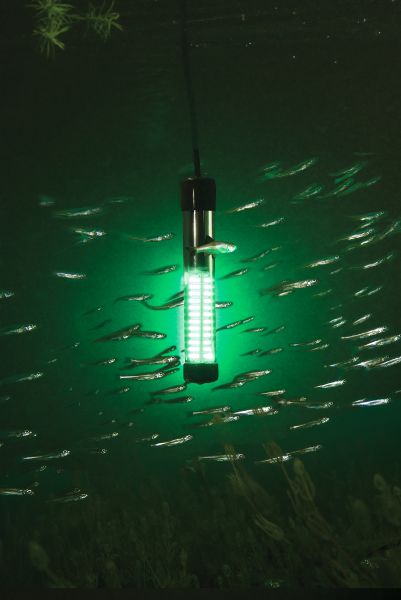 lights for fishing at night