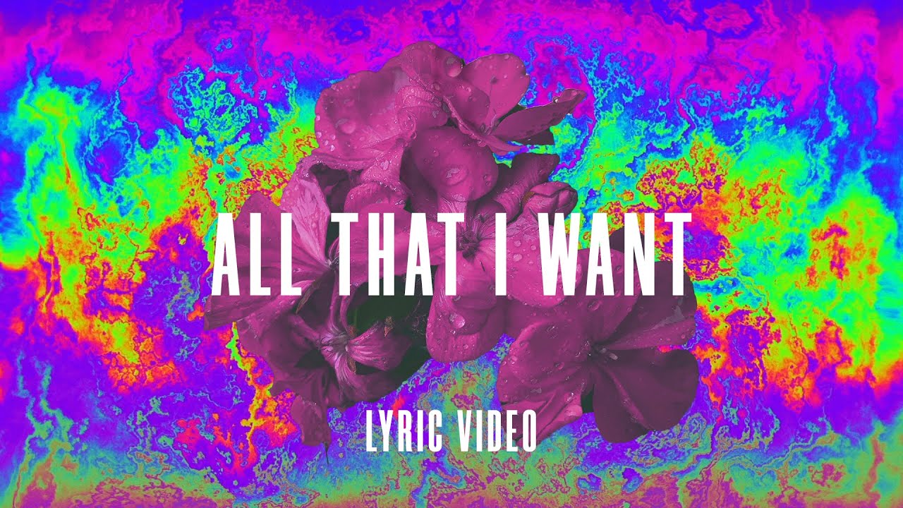 all that i want song