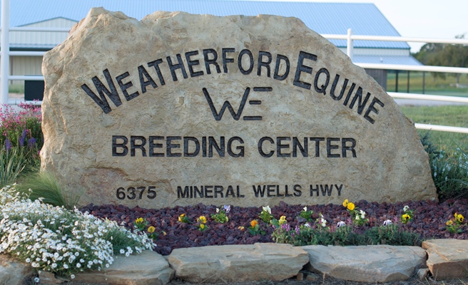 weatherford equine medical center