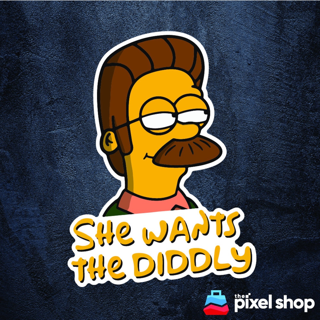 ned flanders meme