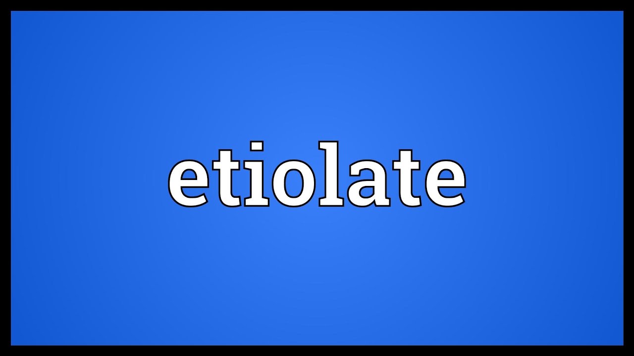 etiolate meaning