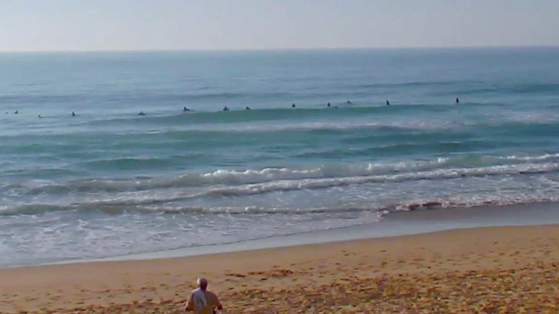 manly surf cam