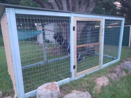 gumtree cat enclosure