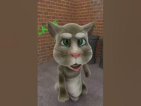 talking tom talking cat