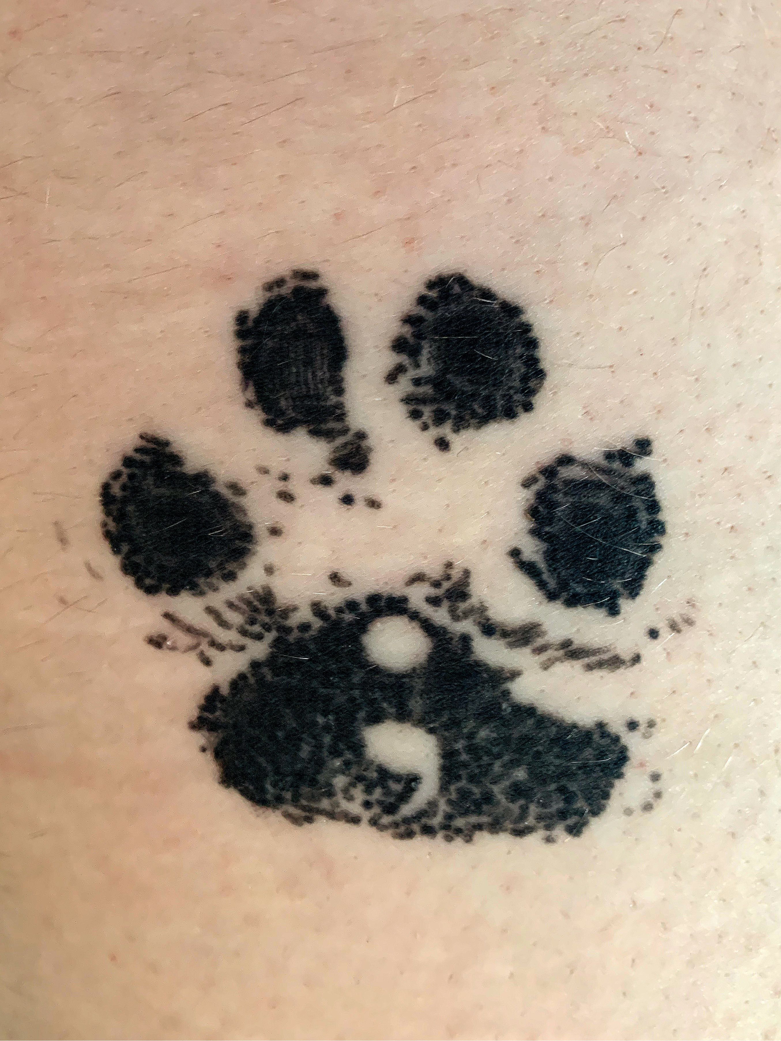 paw print semicolon tattoo
