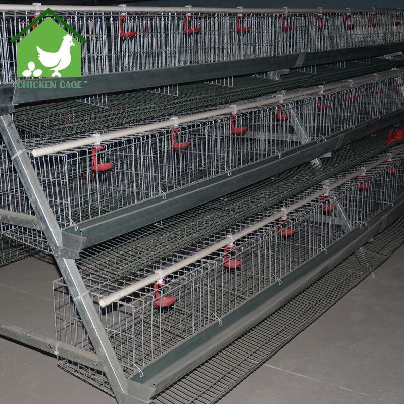 poultry cage