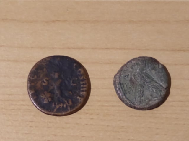 incitatus coins