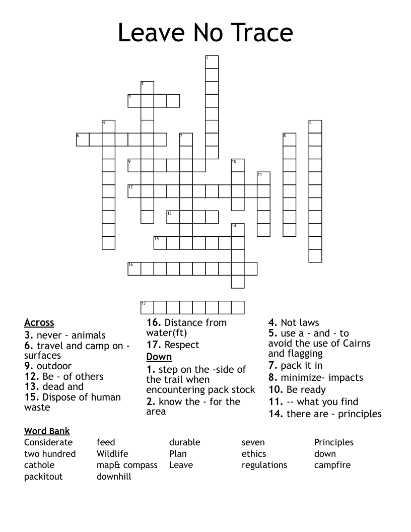 traces crossword clue