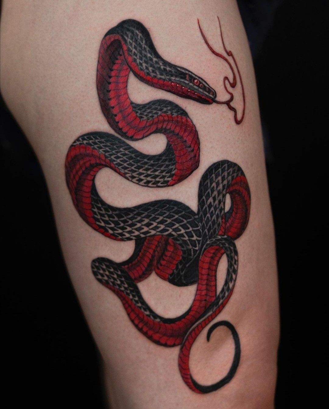 red belly black snake tattoo