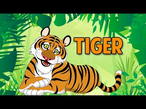 tiger in hindi pronunciation