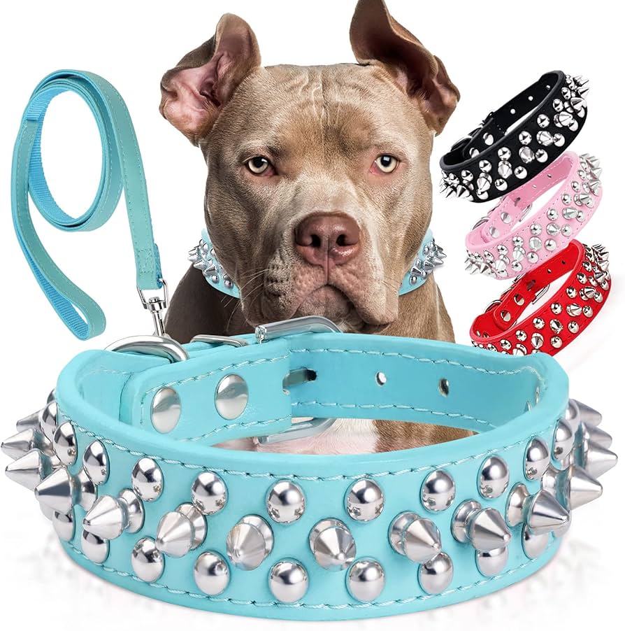 spiked collars for dogs amazon