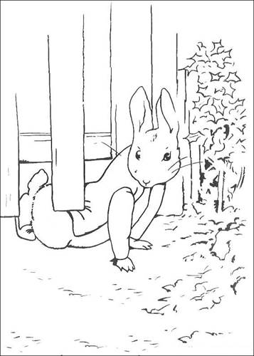 peter rabbit coloring sheets