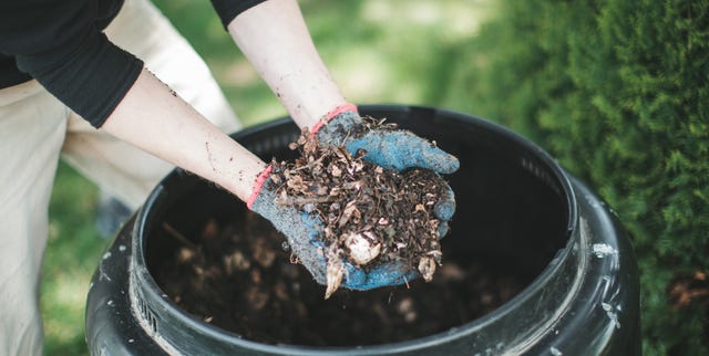 compost bins argos