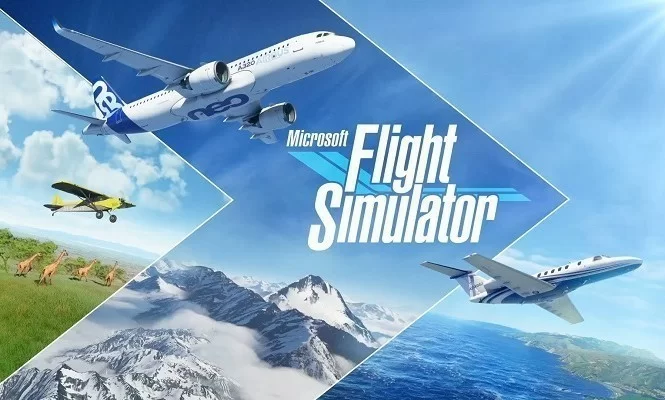 flight simulator steam