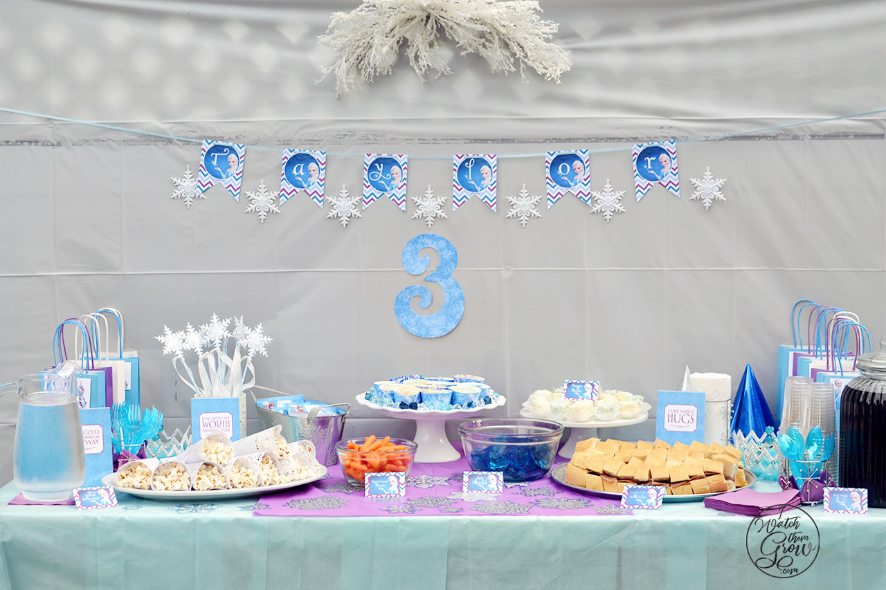 frozen birthday party supplies