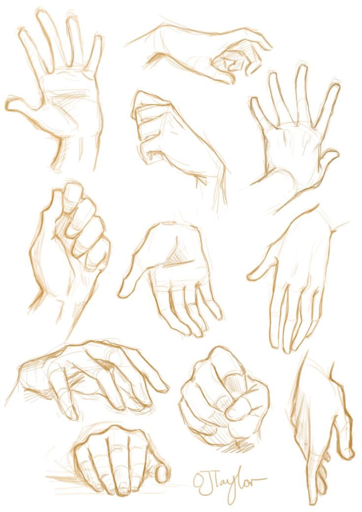 hand drawn hands