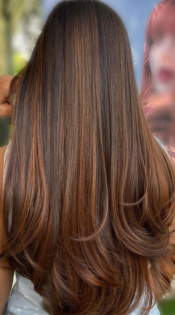 chestnut copper brown hair