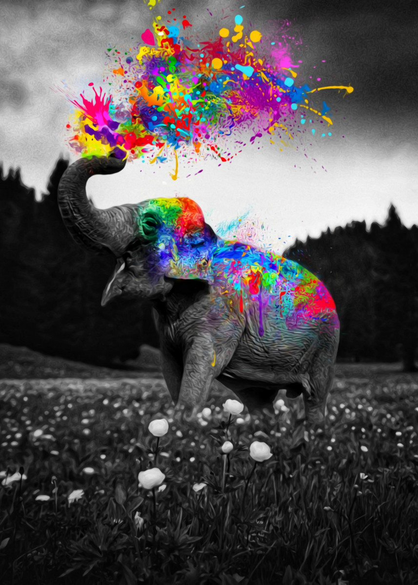 colorful elephant wallpaper