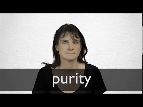 purity thesaurus