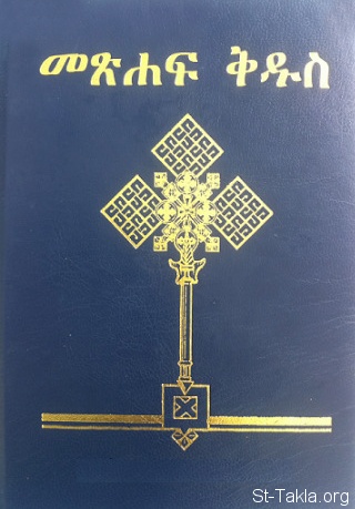 niv amharic bible