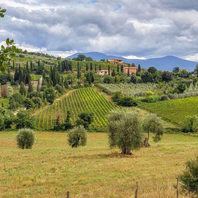 cortona weather