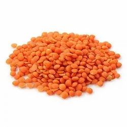 lal masoor dal price