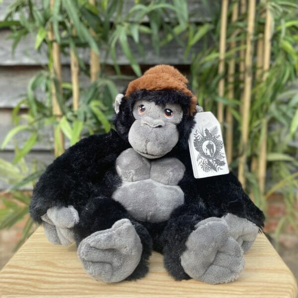 gorilla cuddly toy