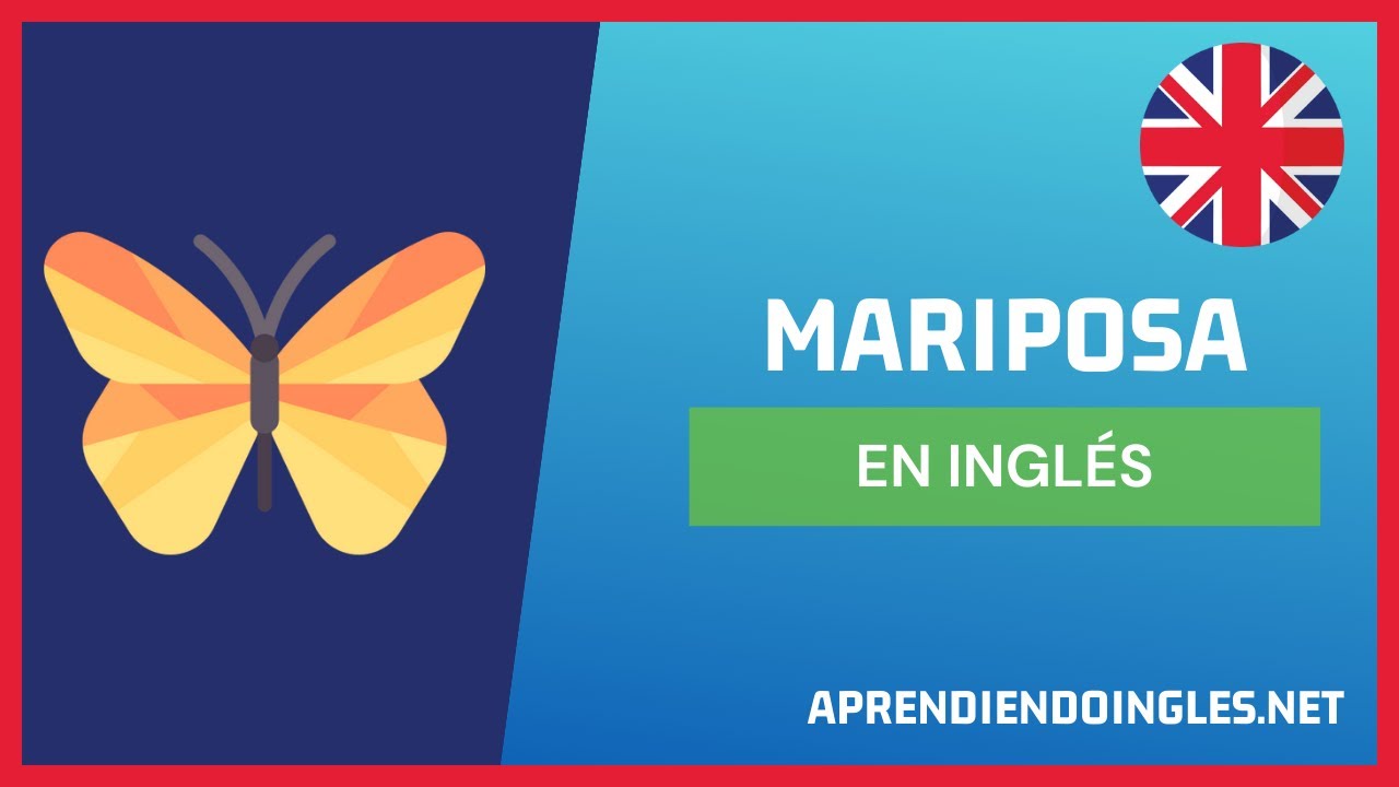 como se pronuncia butterfly en ingles