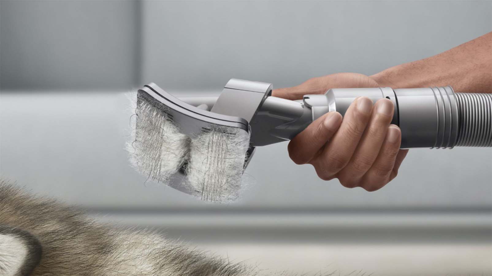 dyson pet grooming