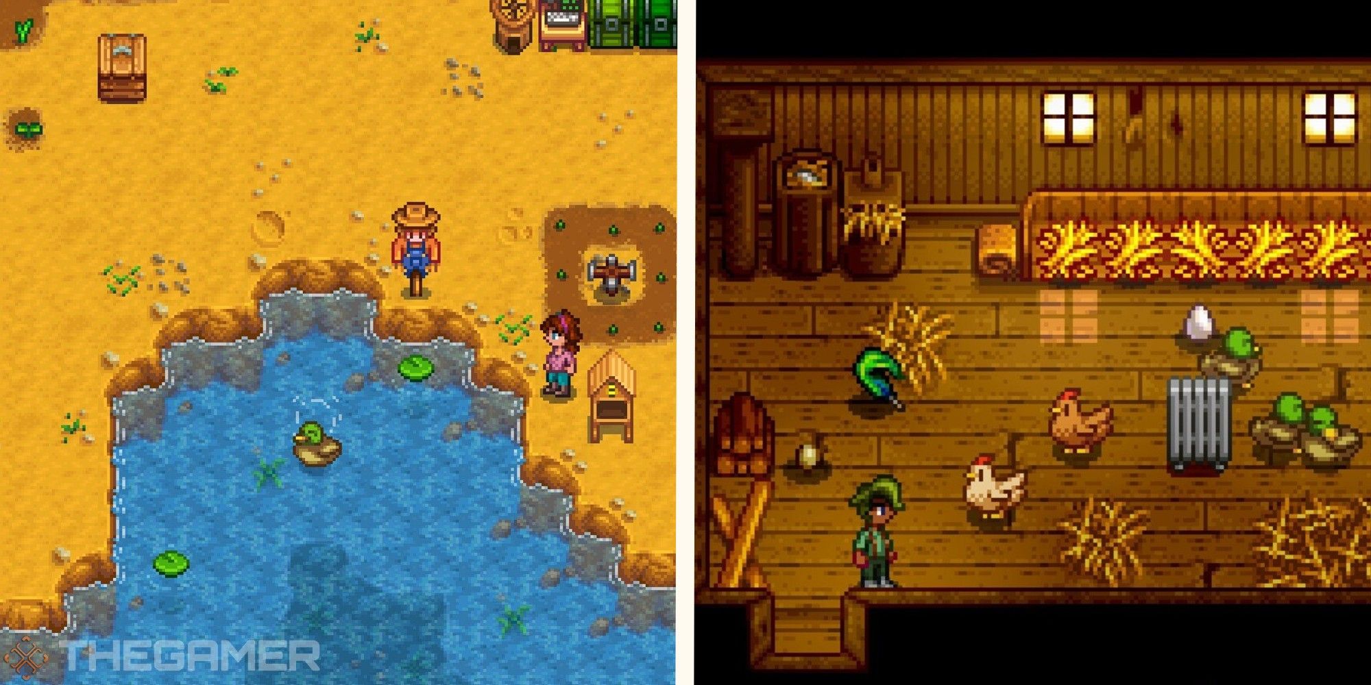 duck feather stardew