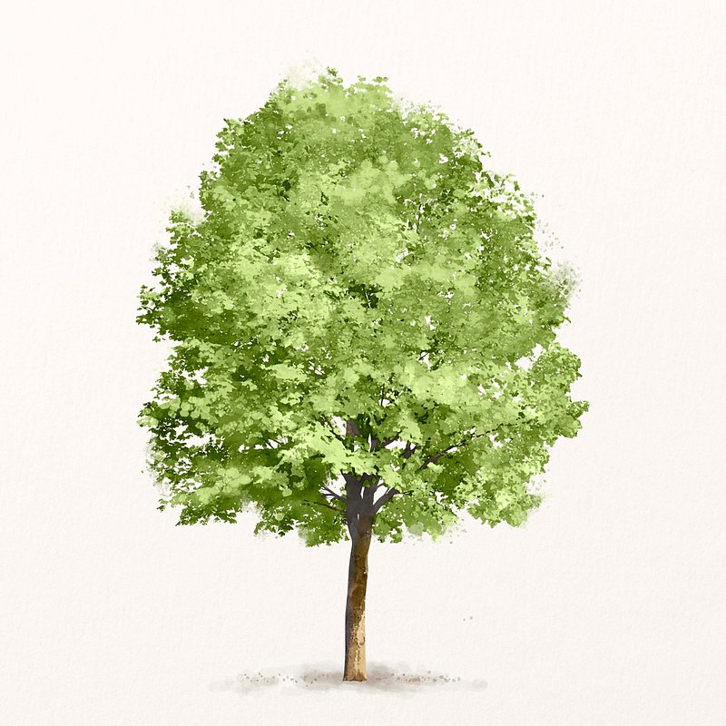 watercolor tree png