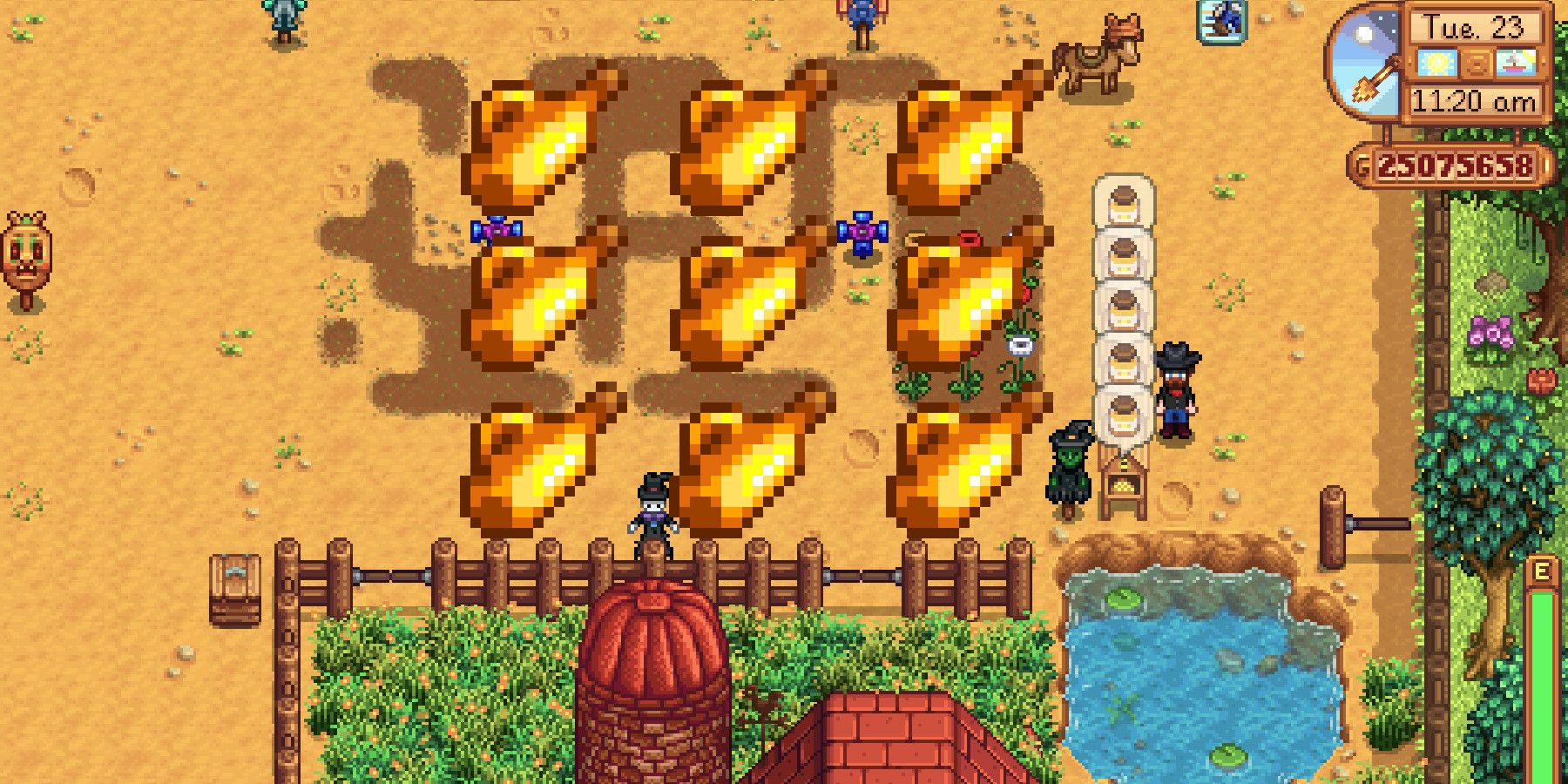 mead stardew