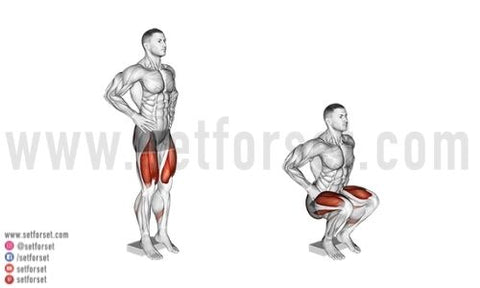 alternative leg extensions