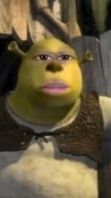 meme shrek face