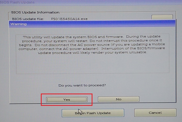 bios flash update dell