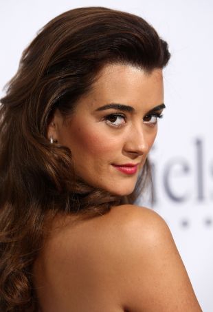 cote de pablo imdb