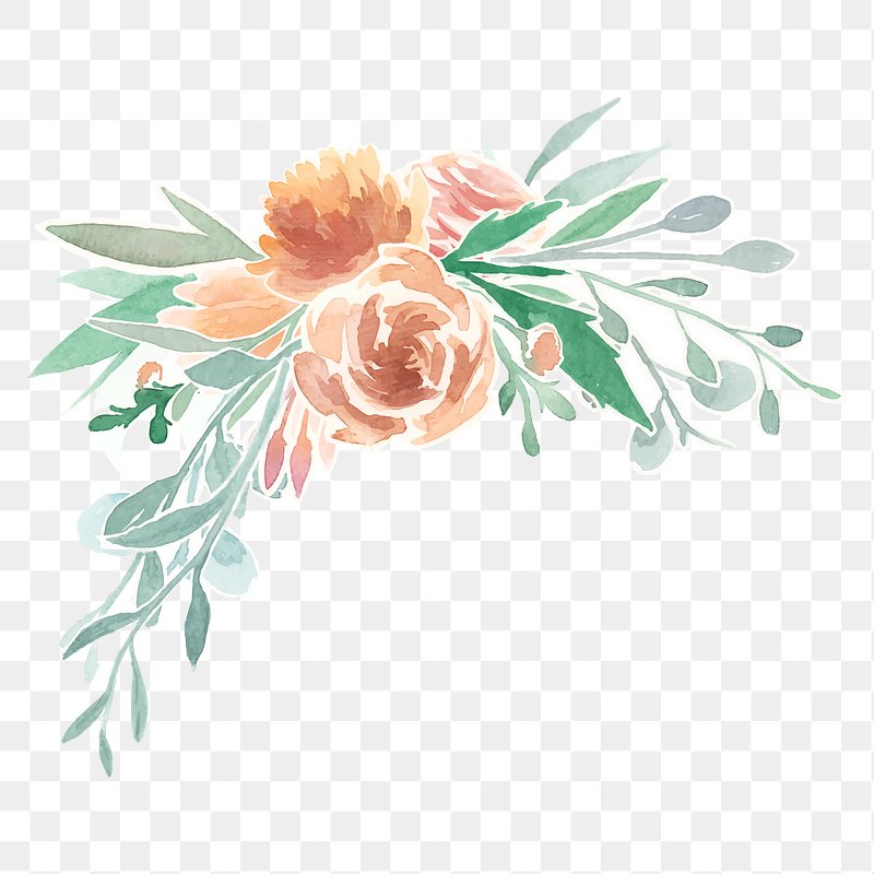 watercolor flowers png