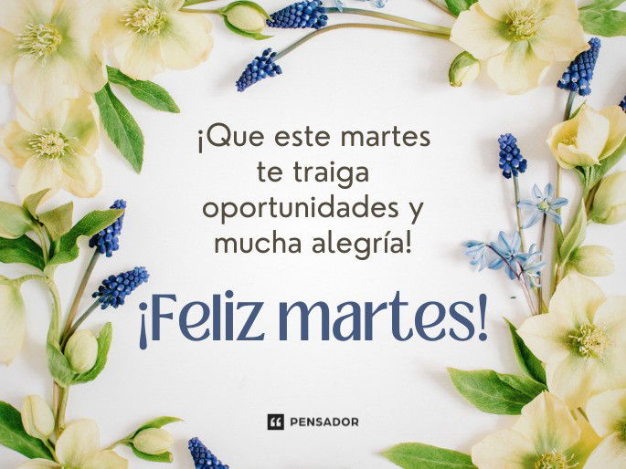 frase de martes