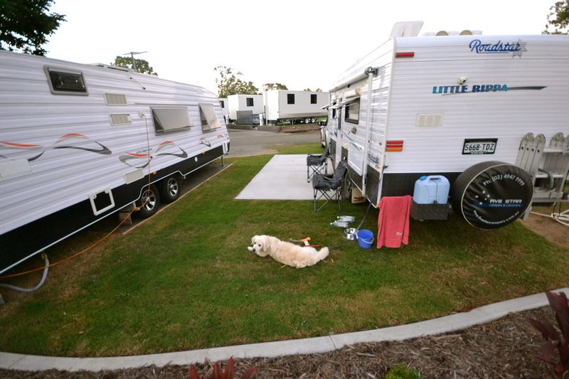 caravan parks mackay pet friendly