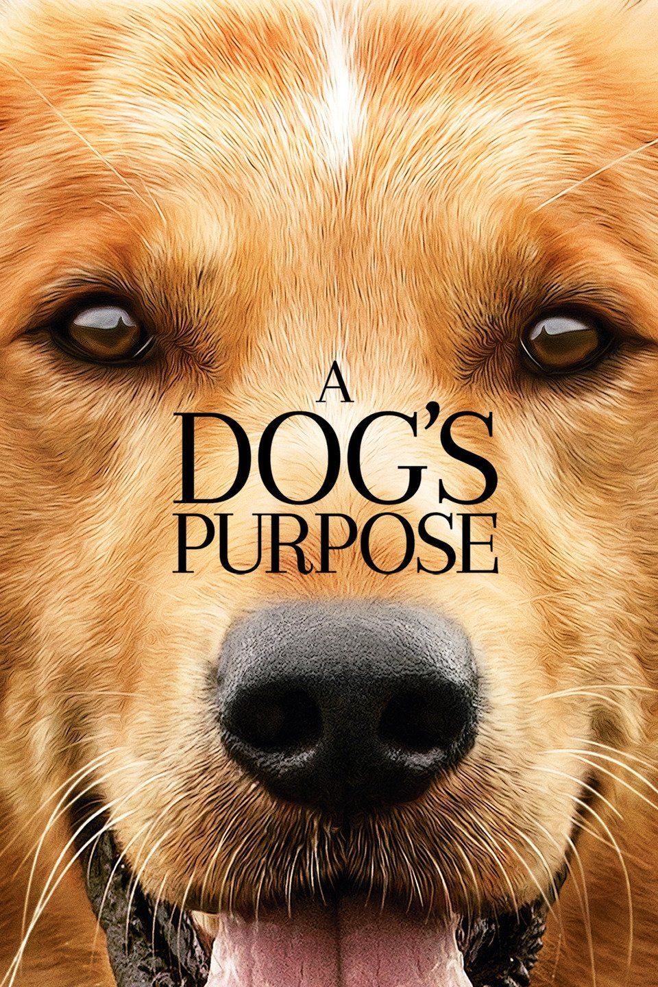 a dogs purpose movie online