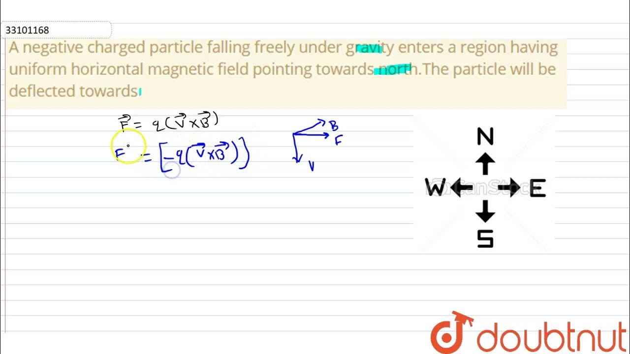 a particle is falling freely under gravity