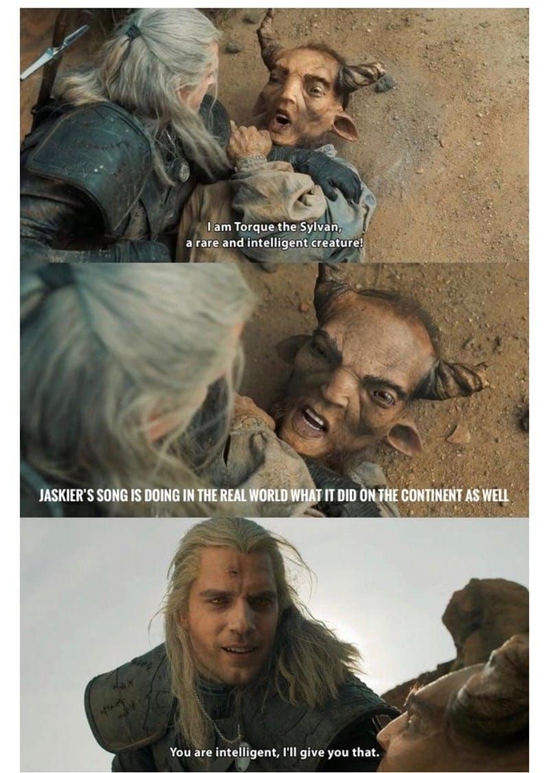 witcher memes