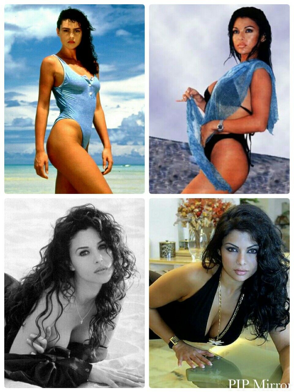 haifa wehbe bikini