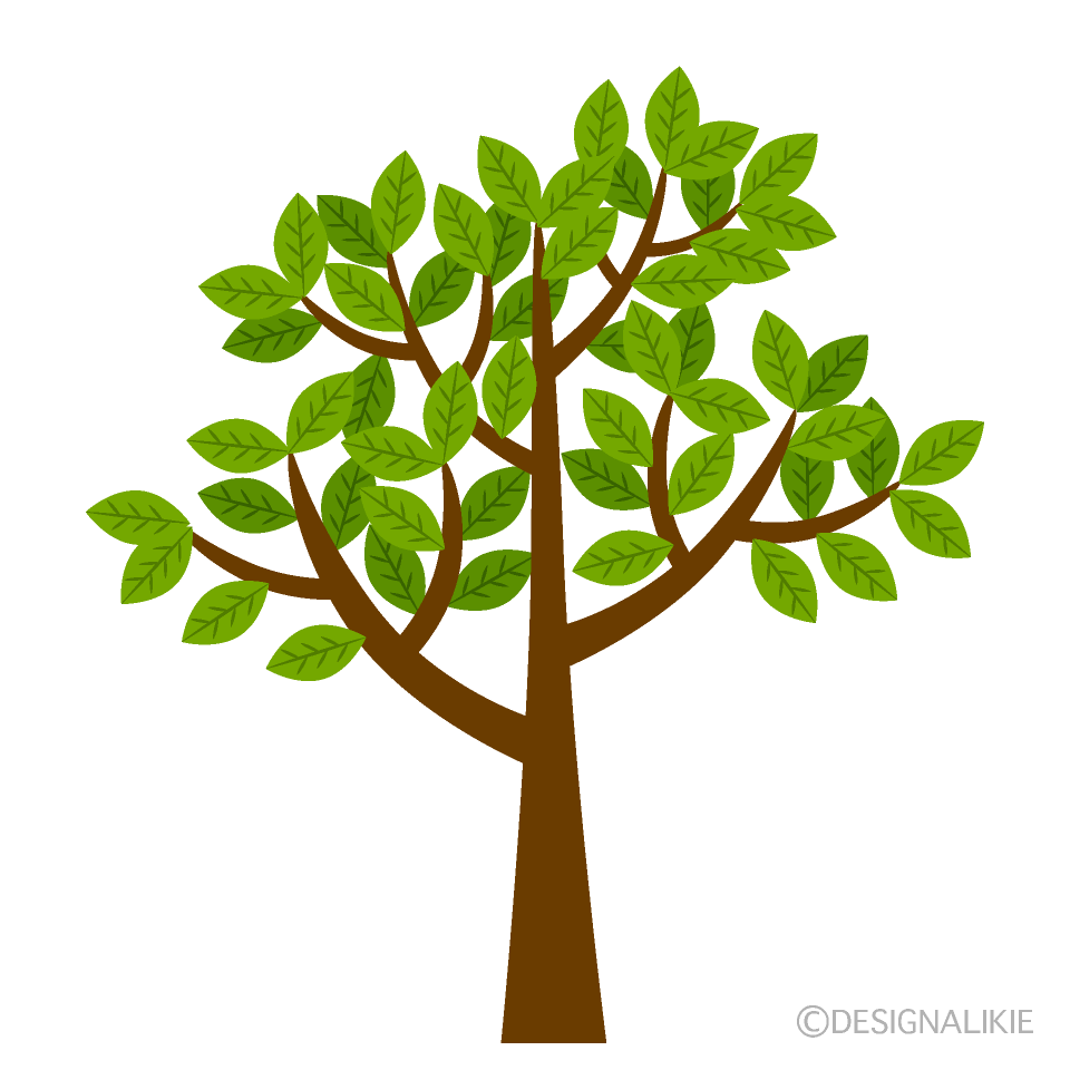 tree leaves clipart