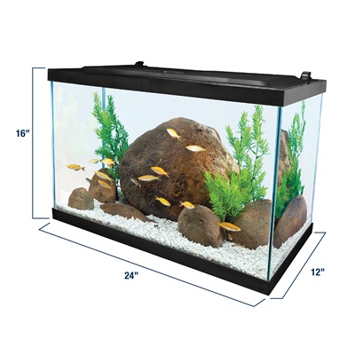 how big is a 20 gallon aquarium
