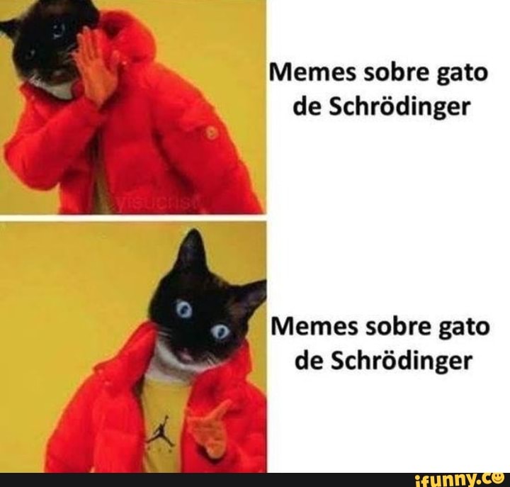 meme gato de schrodinger