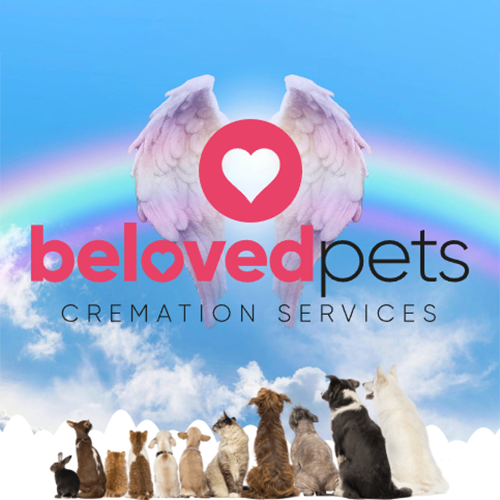 pet cremation manchester uk