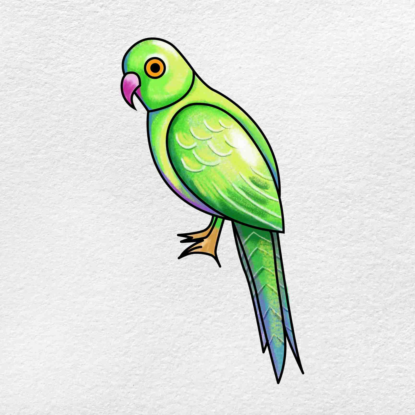 parrot drawing for kids