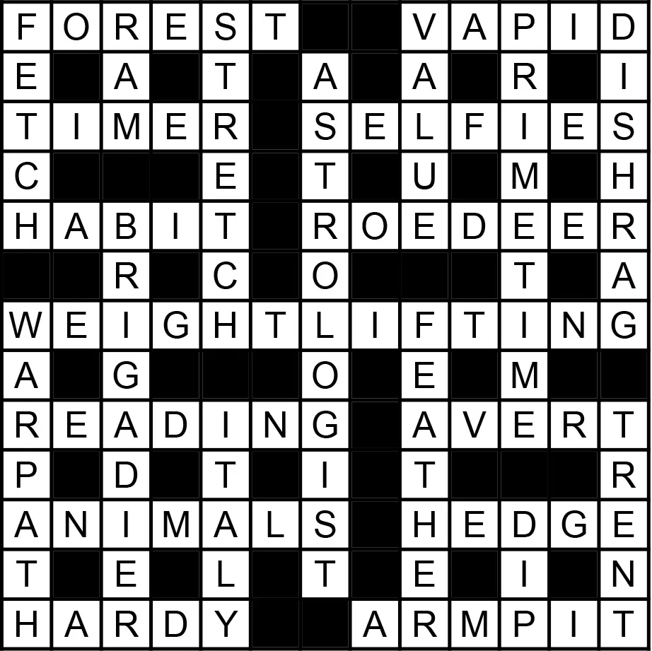 focus crossword clue